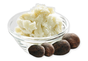 SHEA BUTTER